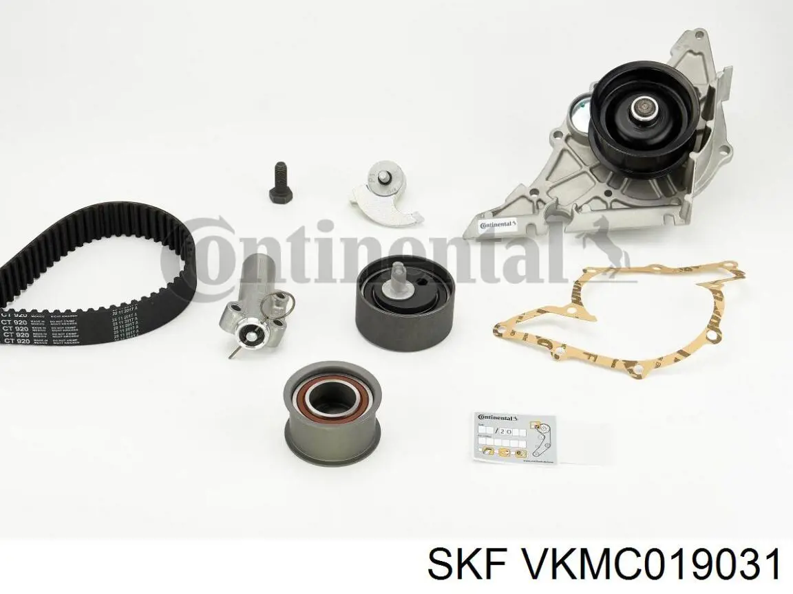 VKMC019031 SKF ремень агрегатов приводной, комплект