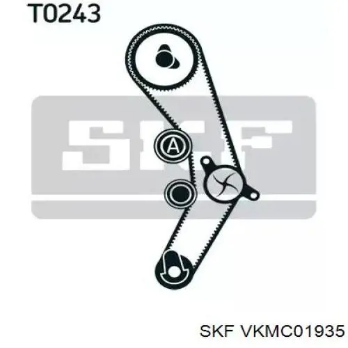VKMC 01935 SKF комплект грм