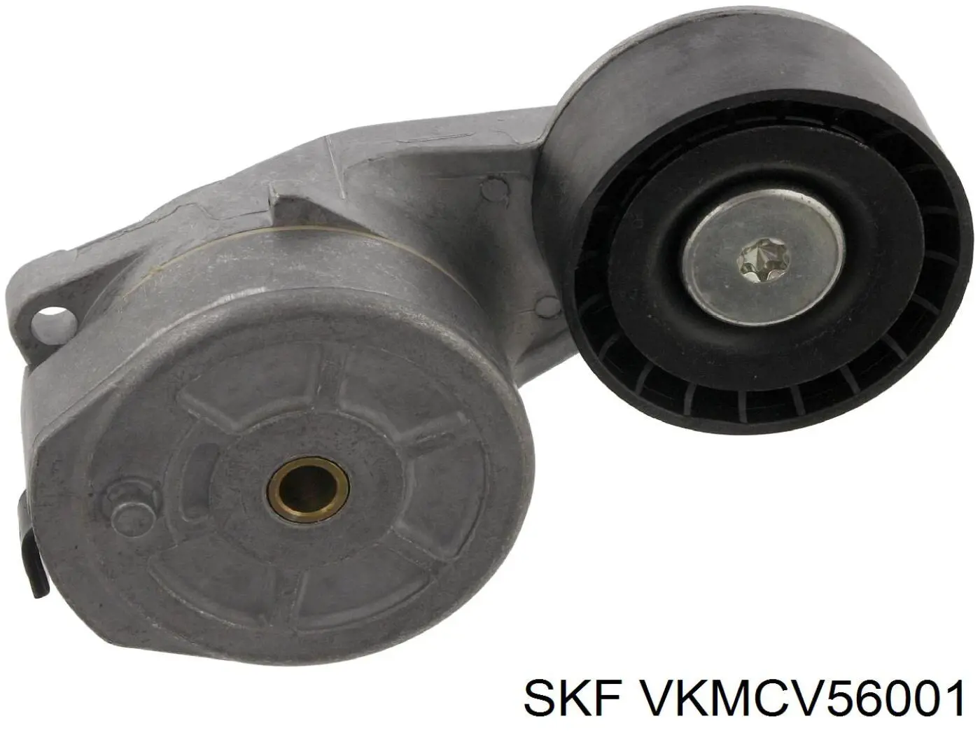 VKMCV56001 SKF