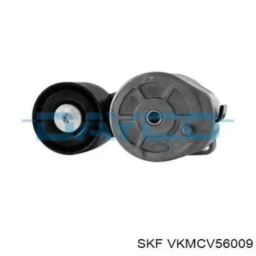 VKMCV56009 SKF