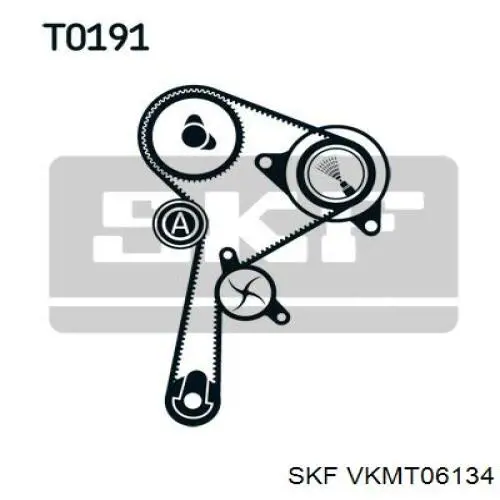 Correa distribucion VKMT06134 SKF