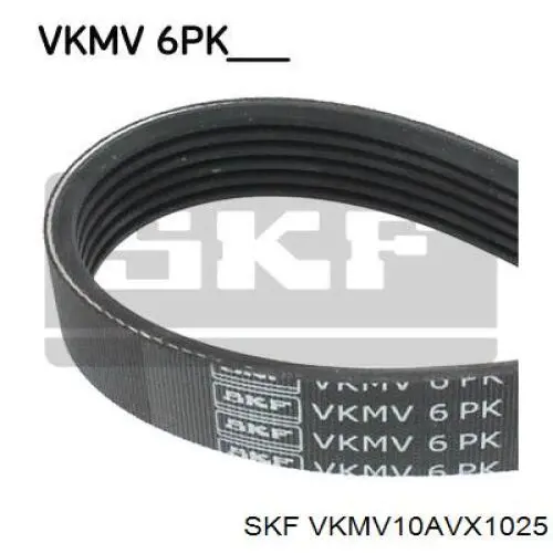 VKMV10AVX1025 SKF