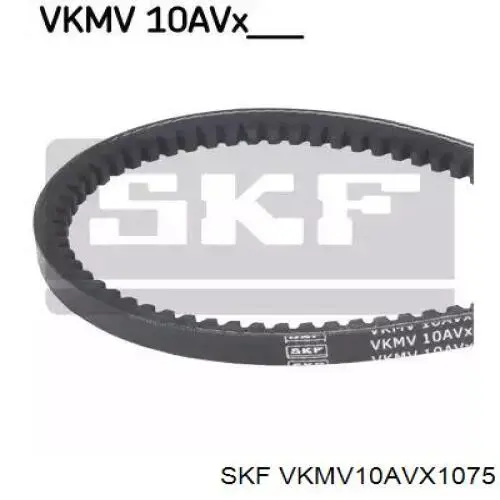 VKMV 10AVX1075 SKF correia dos conjuntos de transmissão