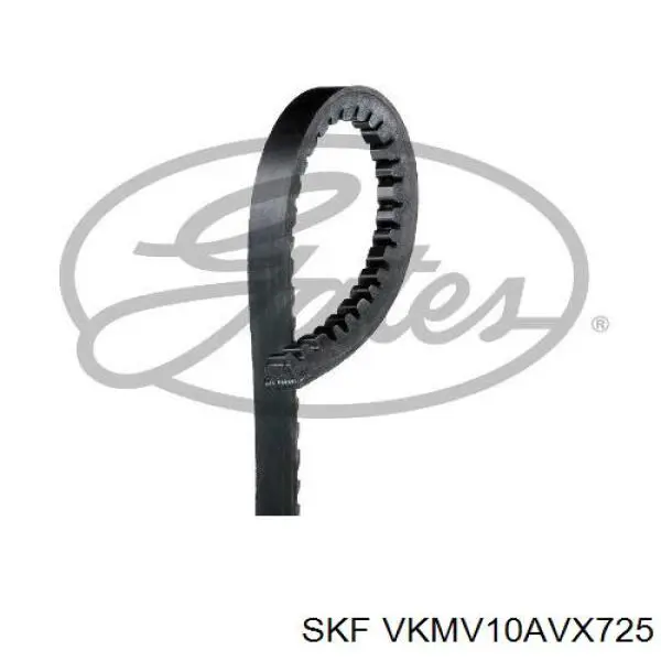 Ремінь приводний, агрегатів VKMV10AVX725 SKF