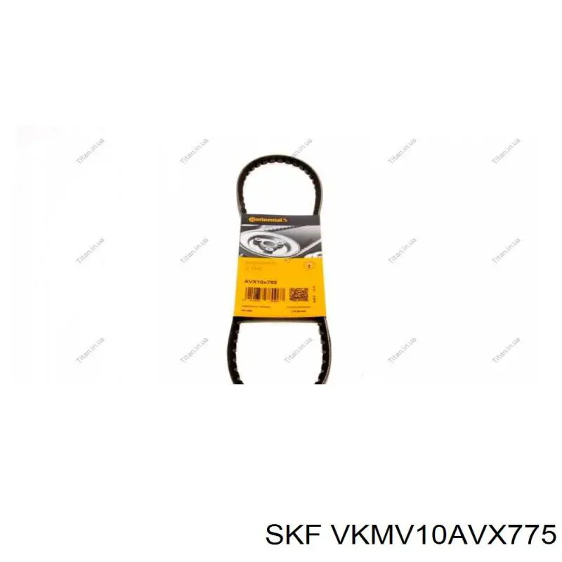 VKMV10AVX775 SKF ремень генератора