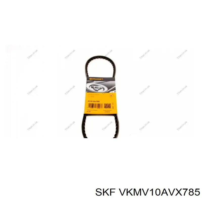 Correa trapezoidal VKMV10AVX785 SKF