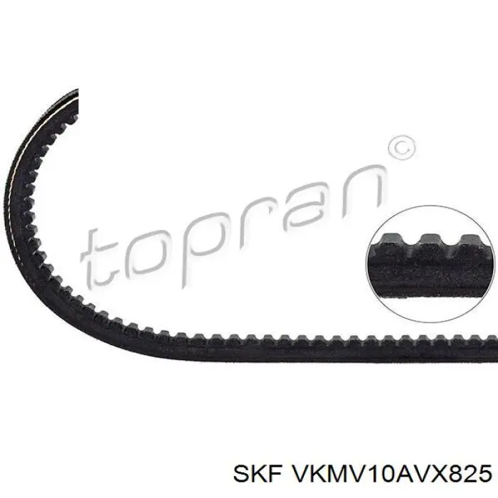 VKMV10AVX825 SKF