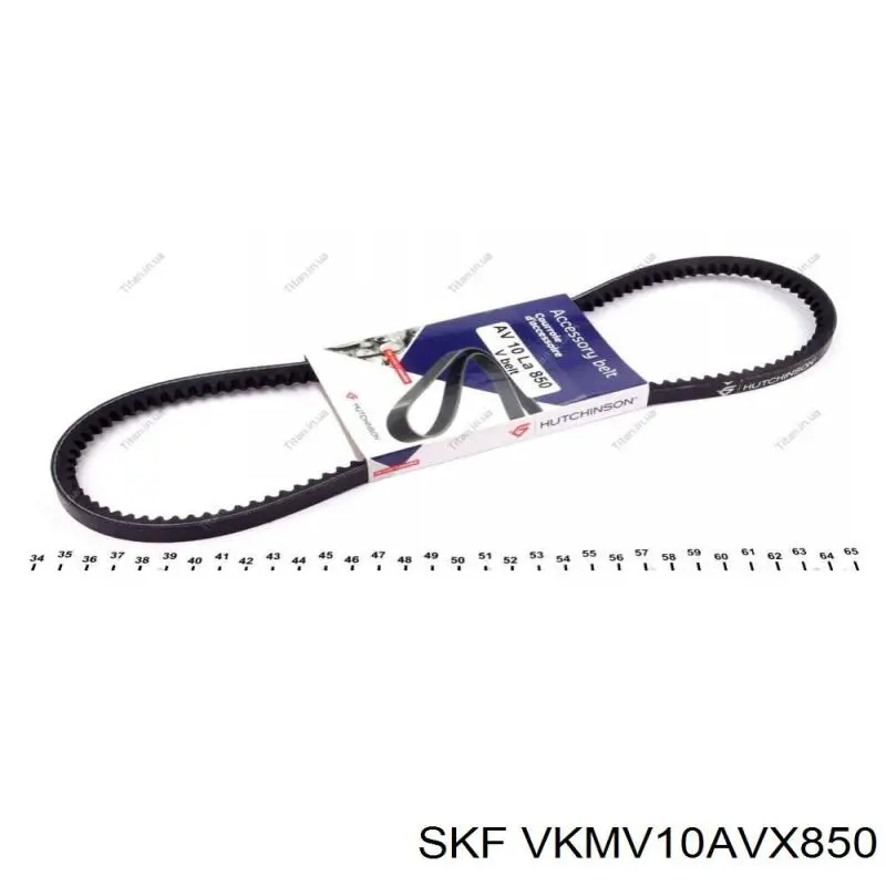 VKMV10AVX850 SKF Поликлиновый ремень