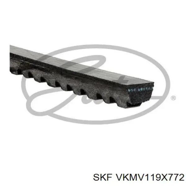 VKMV119X772 SKF ремень генератора