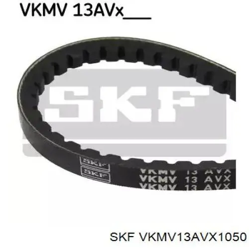 VKMV13AVX1050 SKF correia dos conjuntos de transmissão