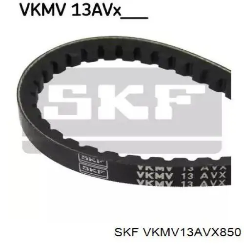 VKMV13AVX850 SKF correia dos conjuntos de transmissão