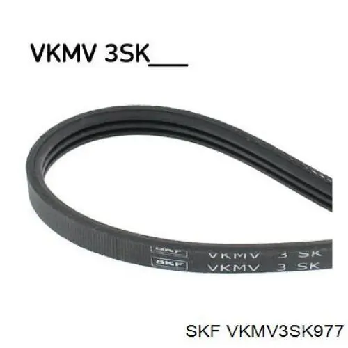 VKMV3SK977 SKF correia dos conjuntos de transmissão