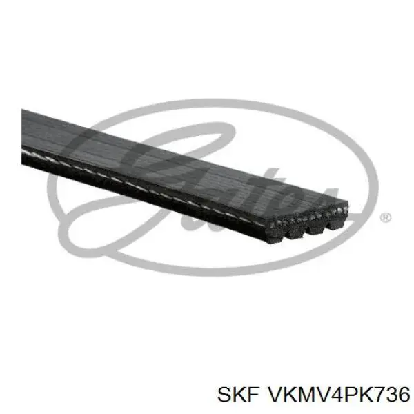 VKMV4PK736 SKF ремень генератора