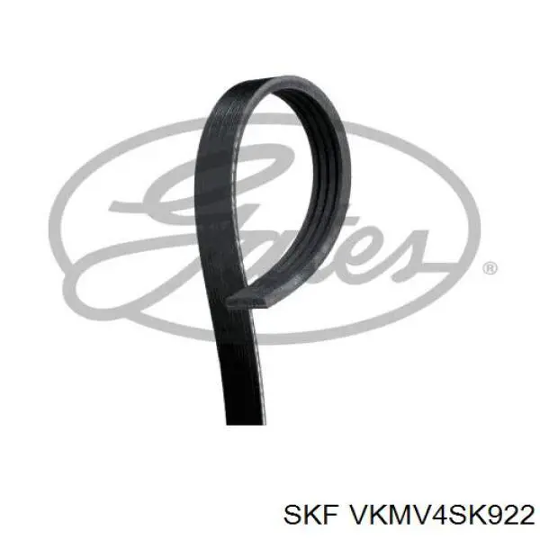 Клиновый ремень SKF VKMV4SK922 цена, от 8.16 USD