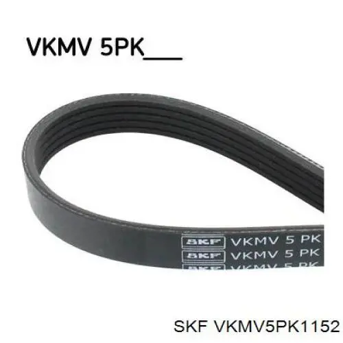 VKMV5PK1152 SKF 