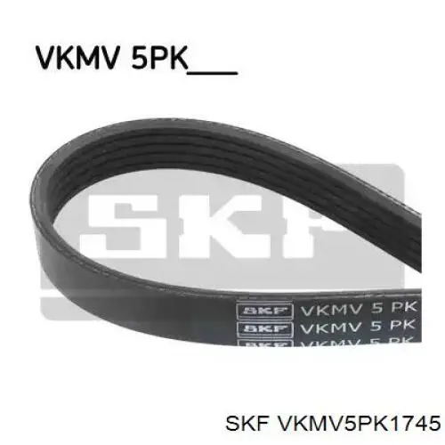 VKMV5PK1745 SKF correia dos conjuntos de transmissão