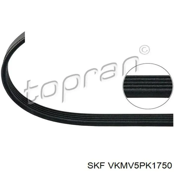 Клиновый ремень SKF VKMV5PK1750 цена, от 11.78 USD