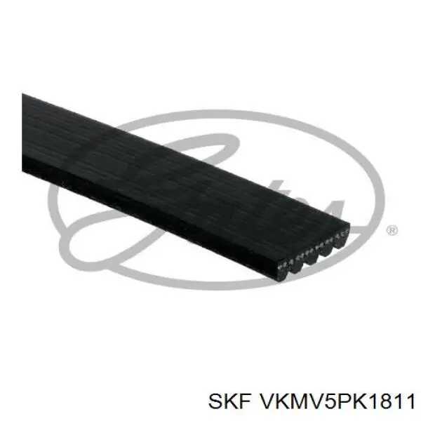 VKMV5PK1811 SKF ремень генератора