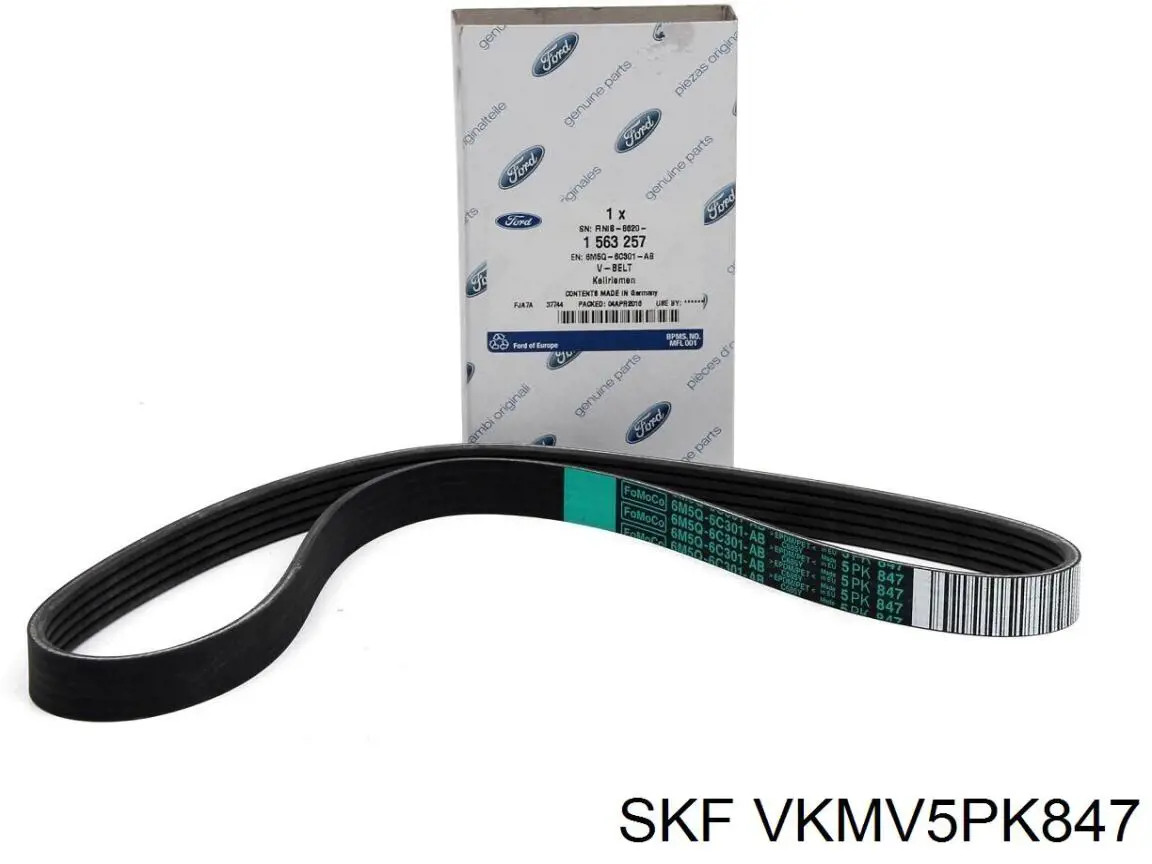 VKMV 5PK847 SKF correia dos conjuntos de transmissão