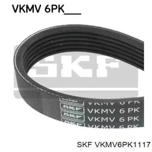 VKMV6PK1117 SKF correia dos conjuntos de transmissão
