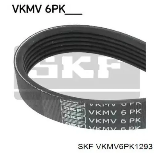 VKMV6PK1293 SKF correia dos conjuntos de transmissão