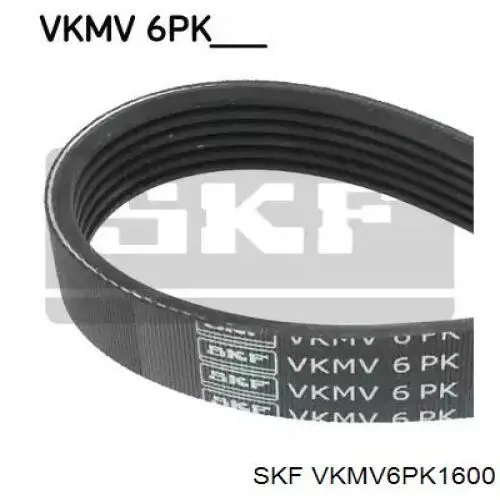 VKMV 6PK1600 SKF ремень генератора
