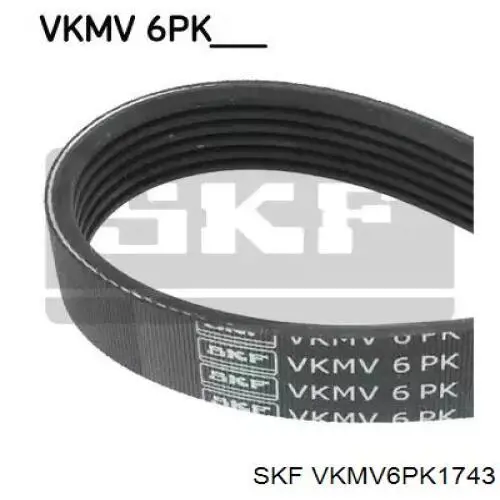 VKMV6PK1743 SKF ремень генератора