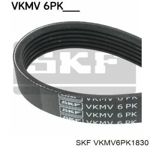 VKMV6PK1830 SKF