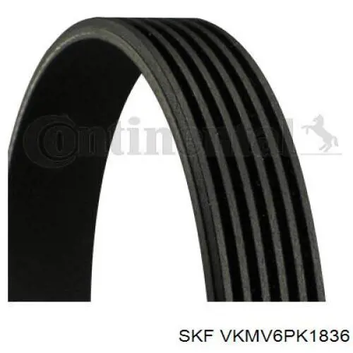 VKMV6PK1836 SKF 