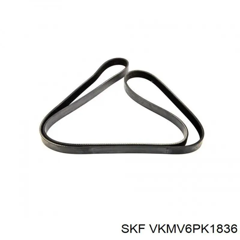 Купить VKMV6PK1836 SKF Ремень генератора