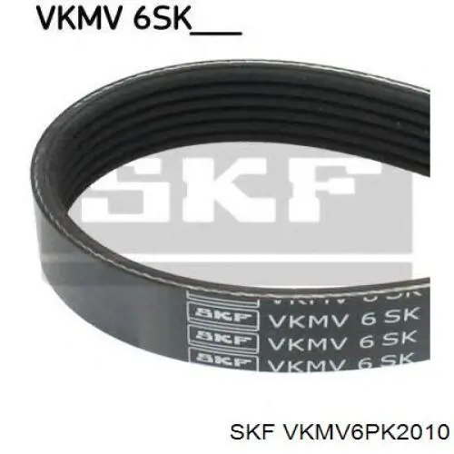 VKMV6PK2010 SKF