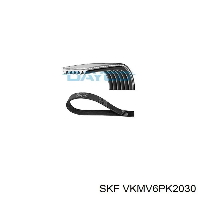 VKMV6PK2030 SKF correia dos conjuntos de transmissão