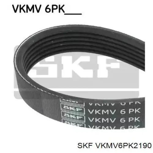 VKMV6PK2190 SKF correia dos conjuntos de transmissão