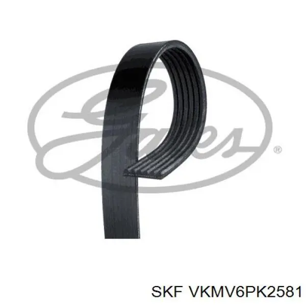 Клиновый ремень SKF VKMV6PK2581 цена, от 21.27 USD