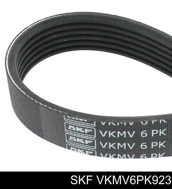 VKMV6PK923 SKF correia dos conjuntos de transmissão