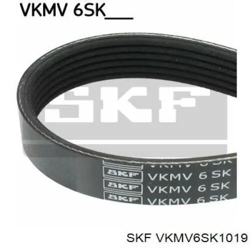 VKMV6SK1019 SKF ремень генератора