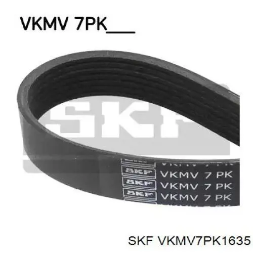 VKMV7PK1635 SKF correia dos conjuntos de transmissão