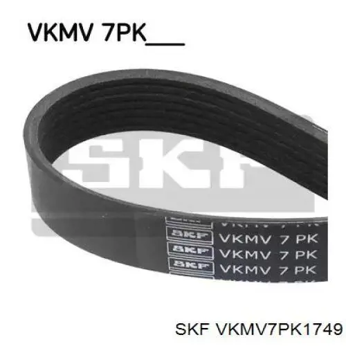 VKMV 7PK1749 SKF correia dos conjuntos de transmissão