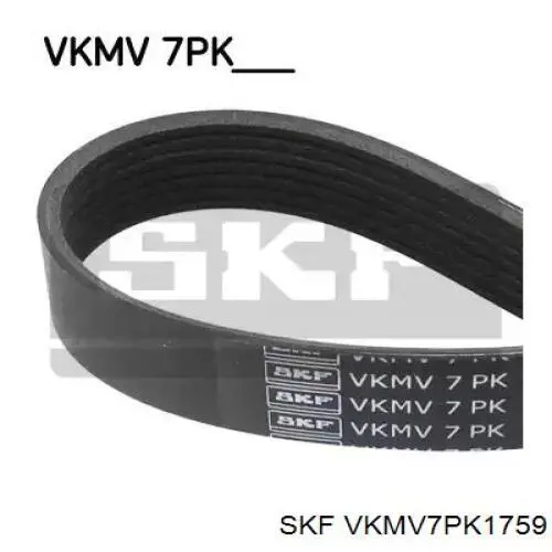 VKMV7PK1759 SKF