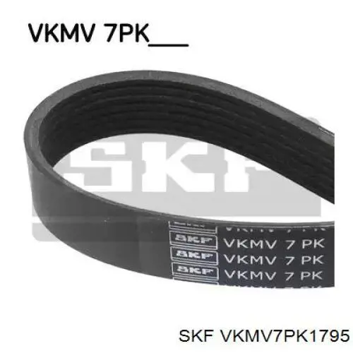 VKMV7PK1795 SKF ремень генератора