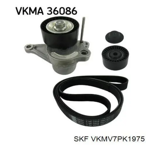 Клиновый ремень SKF VKMV7PK1975 цена, от 20.78 USD