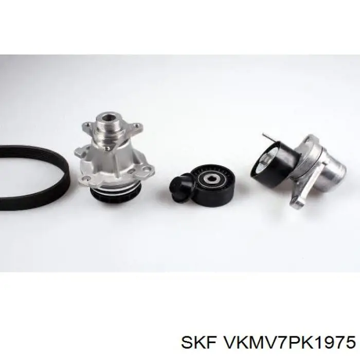 Купить VKMV7PK1975 SKF Ремень генератора