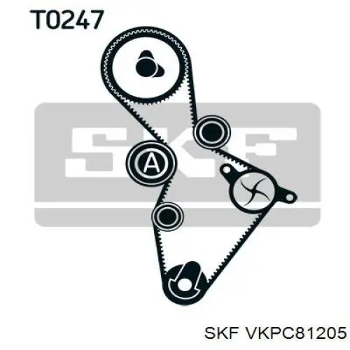 Купить VKPC81205 SKF Насос охлаждения