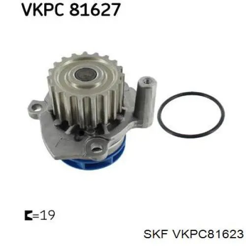 Bomba de agua VKPC81623 SKF