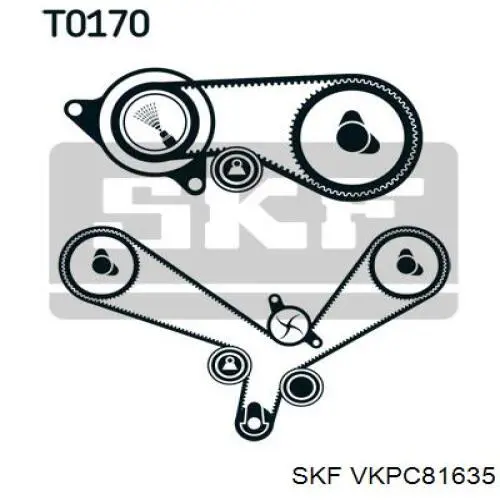 VKPC81635 SKF