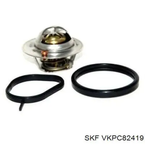 VKPC82419 SKF