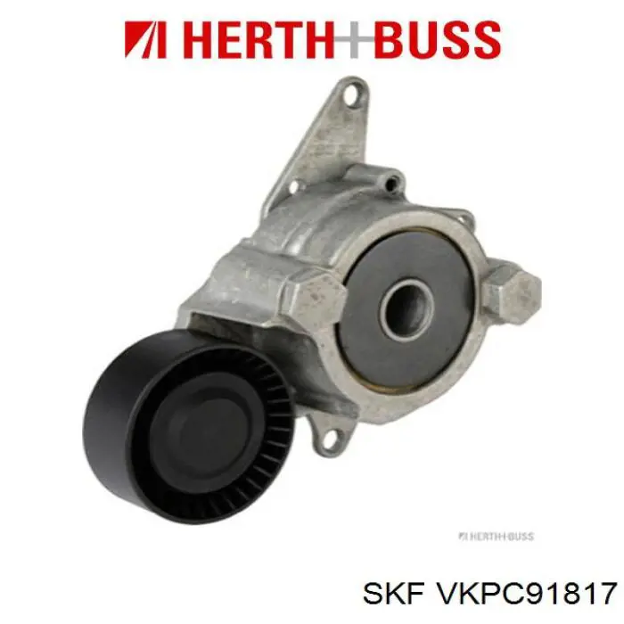 Купить VKPC91817 SKF Насос охлаждения