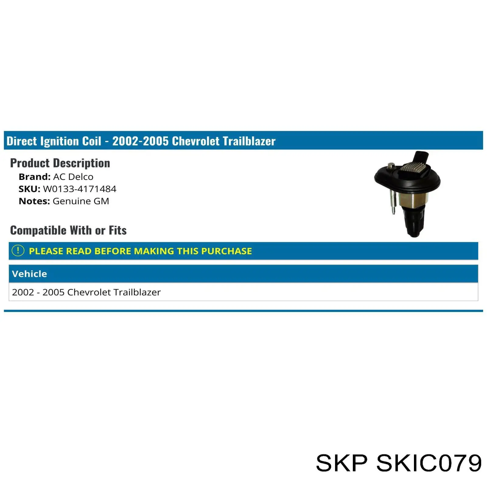 SKIC079 SKP Катушка зажигания