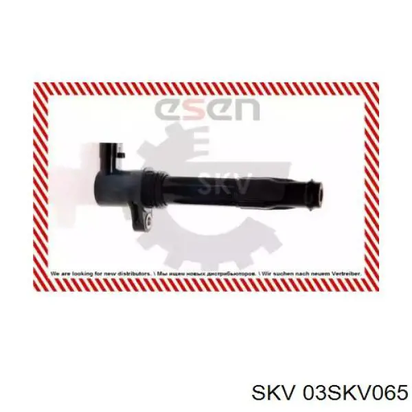 Катушка зажигания 03SKV065 SKV