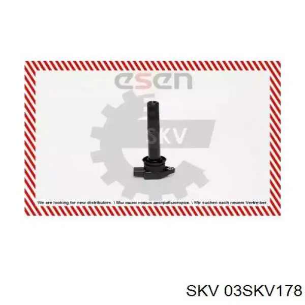 Катушка зажигания 03SKV178 SKV